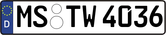 MS-TW4036