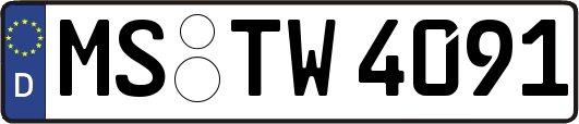 MS-TW4091
