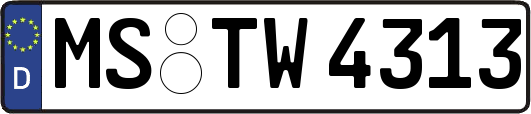 MS-TW4313