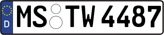 MS-TW4487