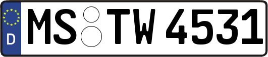 MS-TW4531