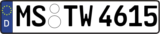 MS-TW4615