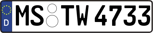 MS-TW4733