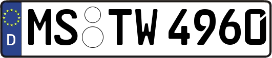 MS-TW4960