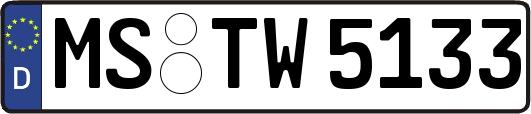 MS-TW5133