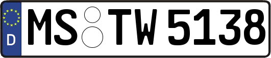 MS-TW5138