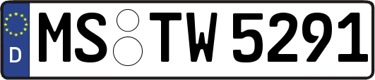 MS-TW5291