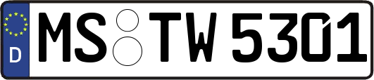 MS-TW5301