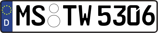 MS-TW5306