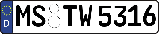 MS-TW5316