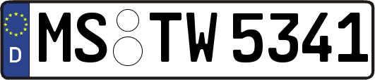 MS-TW5341