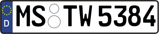MS-TW5384
