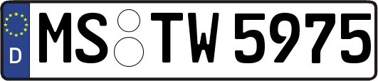 MS-TW5975
