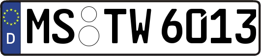 MS-TW6013