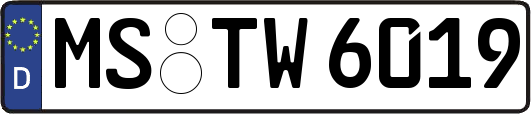 MS-TW6019