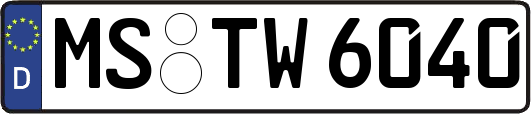 MS-TW6040