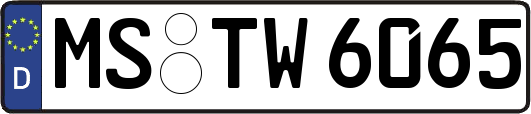 MS-TW6065