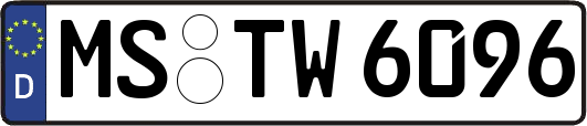 MS-TW6096