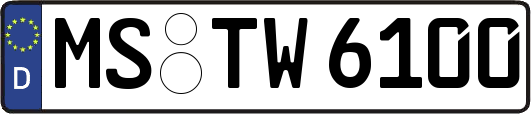 MS-TW6100