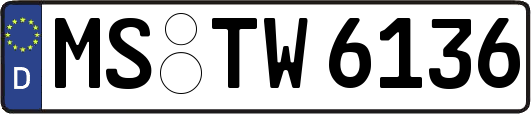 MS-TW6136