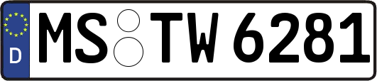 MS-TW6281