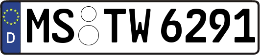MS-TW6291
