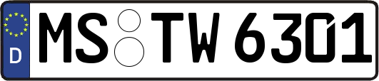 MS-TW6301