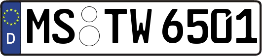 MS-TW6501