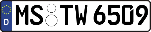 MS-TW6509