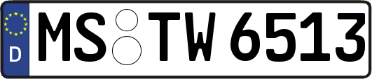 MS-TW6513
