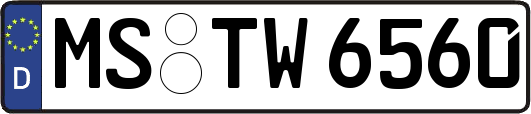 MS-TW6560