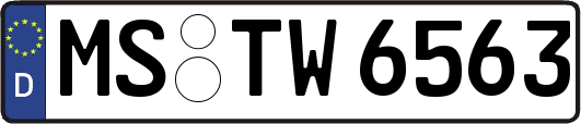 MS-TW6563