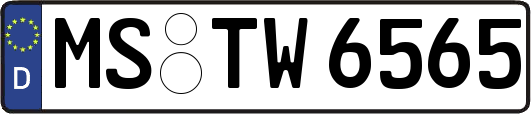 MS-TW6565