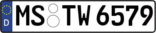 MS-TW6579