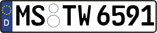 MS-TW6591