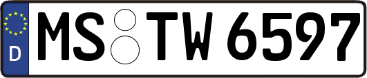 MS-TW6597