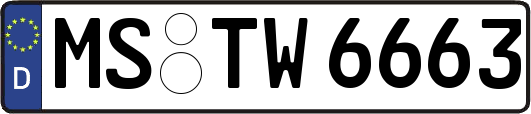 MS-TW6663