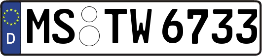 MS-TW6733