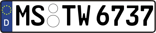 MS-TW6737