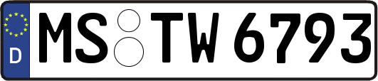 MS-TW6793