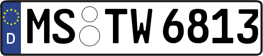 MS-TW6813