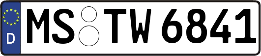 MS-TW6841