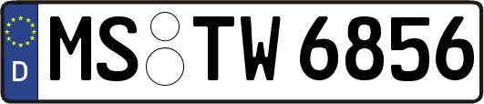 MS-TW6856