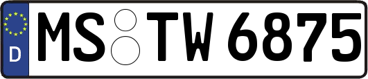 MS-TW6875