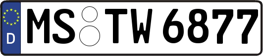 MS-TW6877