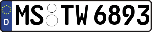 MS-TW6893