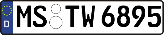 MS-TW6895