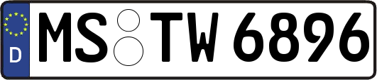 MS-TW6896