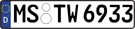 MS-TW6933