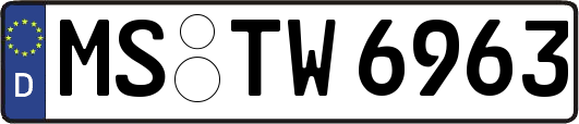 MS-TW6963